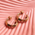 Sone Golden Earrings